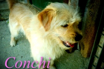 conchi-4